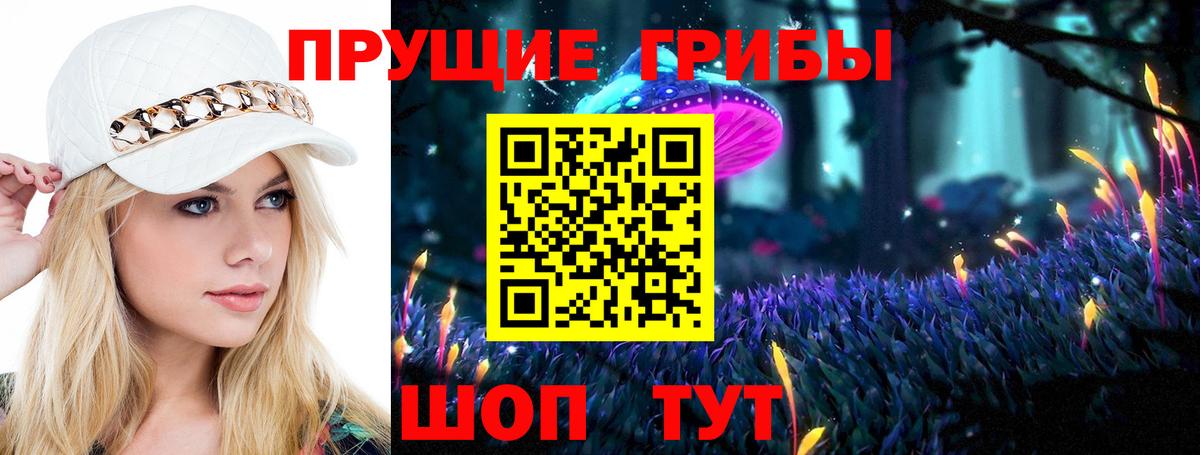 Галлюциногенные грибы Psilocybe  Вход с VPN  Псилоцибиновые грибы Psilocybe  где найти   Симферополь 